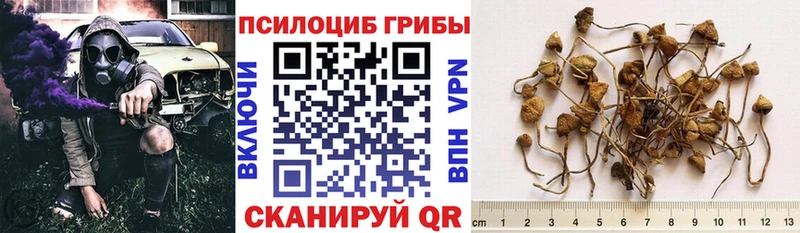 что такое наркотик  Челябинск  гидра сайт  Псилоцибиновые грибы Psilocybine cubensis 