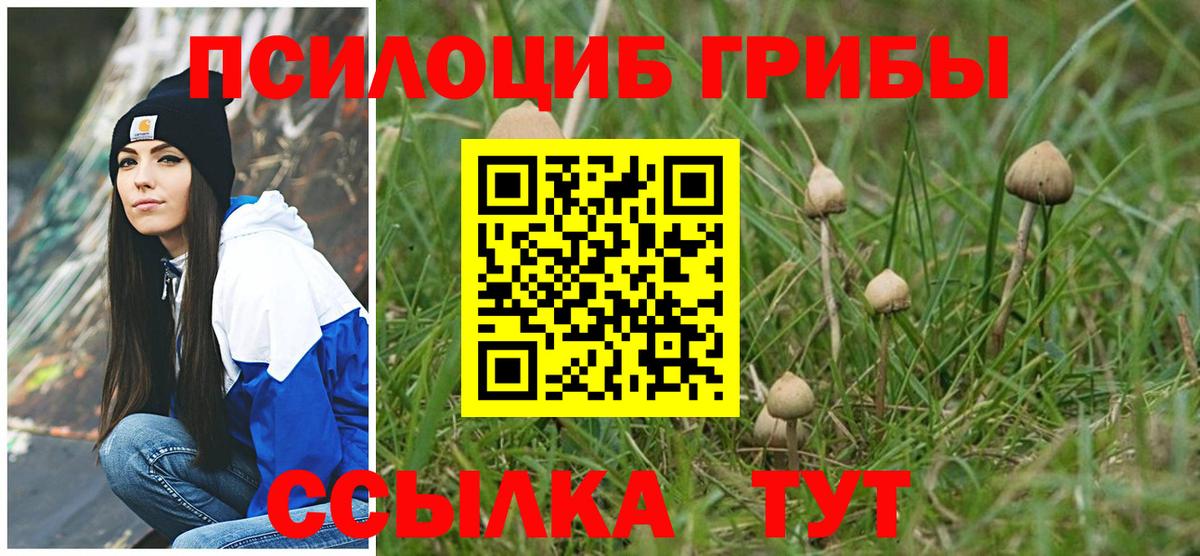 Псилоцибиновые грибы Psilocybe Челябинск