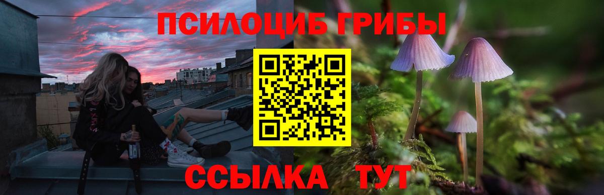 Псилоцибиновые грибы прущие грибы  Вход с VPN  Челябинск 