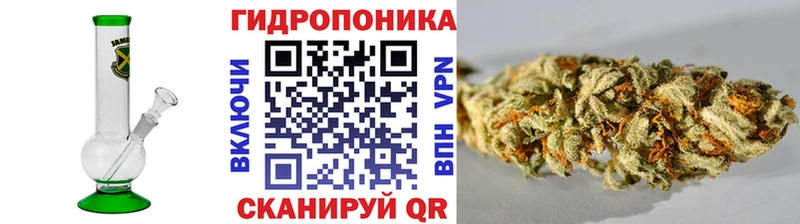 где купить наркоту  Челябинск  Канабис план 